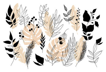 Set of colorful leaves and branches on white backgroundのイラスト素材