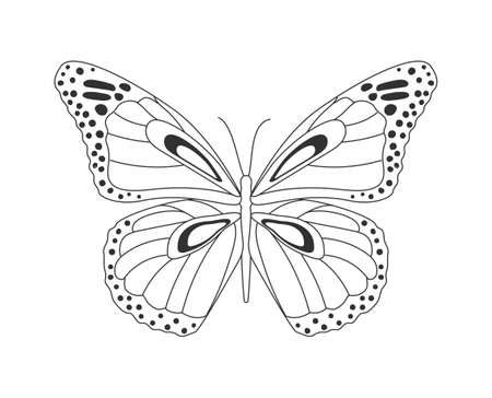 Butterfly silhouette conceptのイラスト素材
