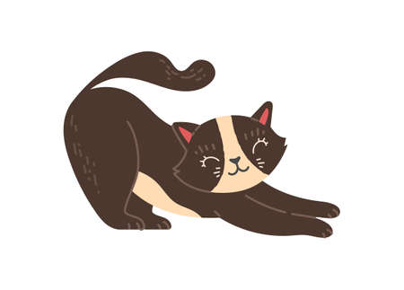 Cute cat stretchingのイラスト素材