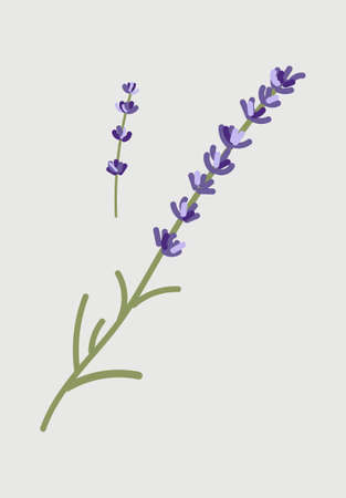 Beautiful blue flowersのイラスト素材