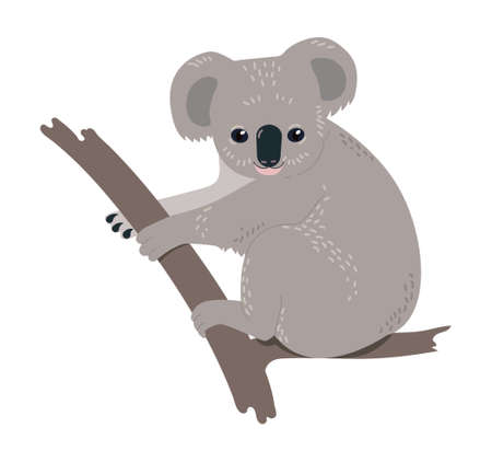 Koala sitting on branchのイラスト素材
