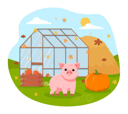Pig on farmのイラスト素材