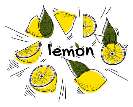 Set of lemonsのイラスト素材