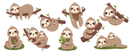 Set of cute baby slothsのイラスト素材