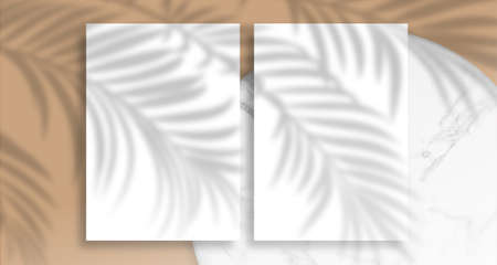 Business card Mockup