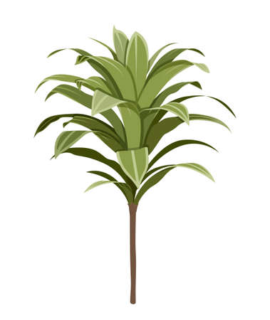 Tropical plant iconのイラスト素材