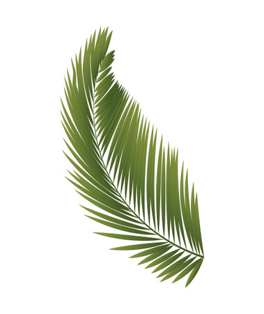 Tropical plant iconのイラスト素材