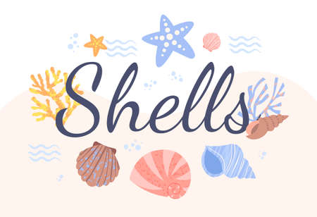 Poster with shellsのイラスト素材