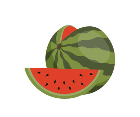 Watermelon with sliceのイラスト素材