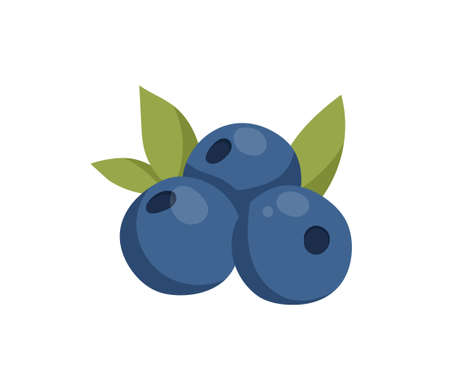 Three blueberry iconのイラスト素材