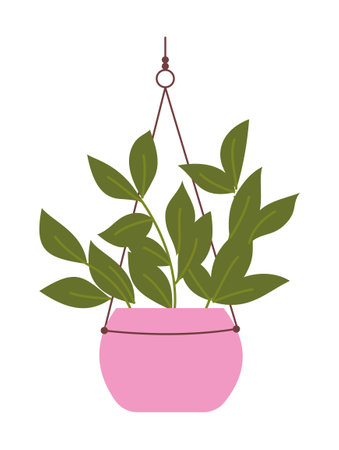 Houseplant on macrame hangerのイラスト素材