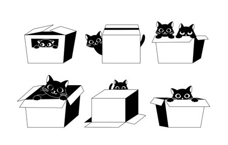 Black cats with box setのイラスト素材