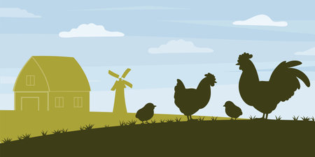 Chicken on farm bannerのイラスト素材