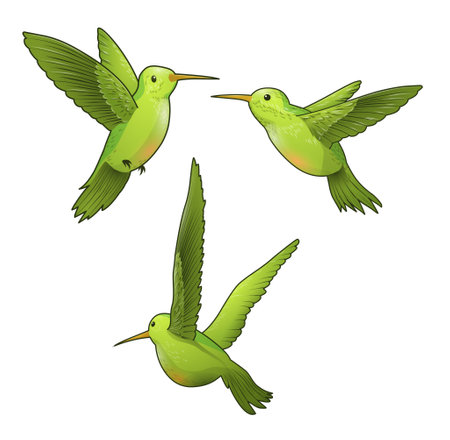 Three green birdsのイラスト素材