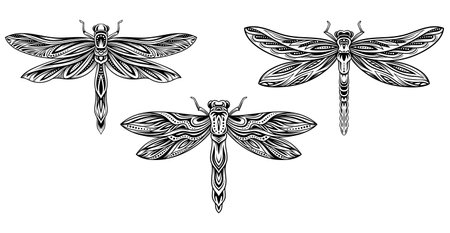 Set of line dragonfliesのイラスト素材
