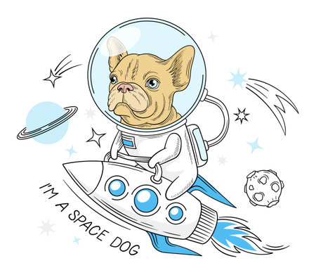 Dog flying on rocketのイラスト素材