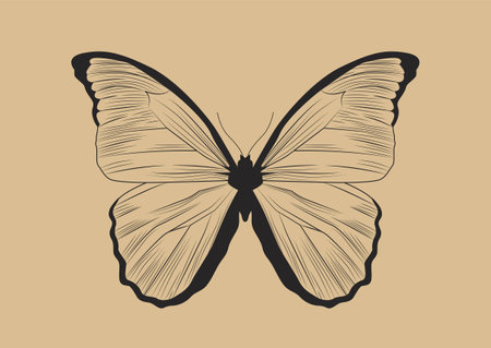 Line butterfly conceptのイラスト素材