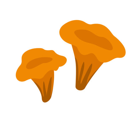 Healthy food iconのイラスト素材