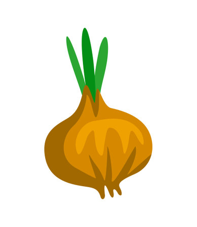 Healthy food iconのイラスト素材