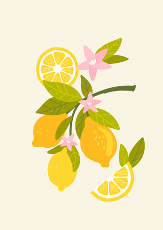 Tropical lemon fruitのイラスト素材