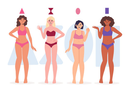 Type of female figure vector setのイラスト素材