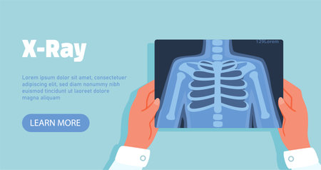 Hands with xray vector conceptのイラスト素材