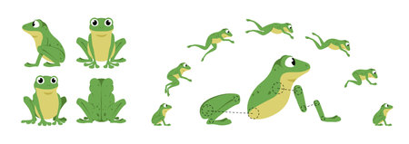 Funny Jumping Vector Frogのイラスト素材
