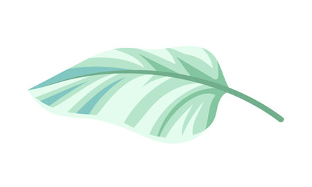 Exotic leaf vector conceptのイラスト素材