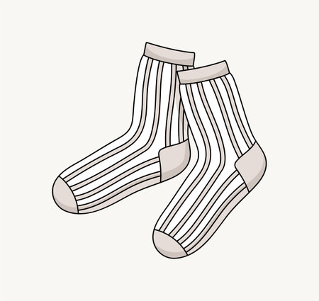Sketch of socks vector conceptのイラスト素材