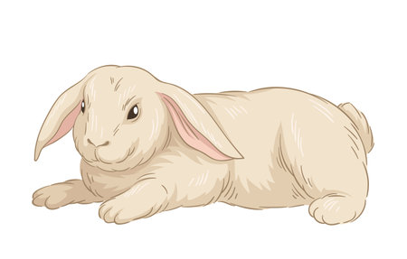 Cute fur rabbit vector conceptのイラスト素材