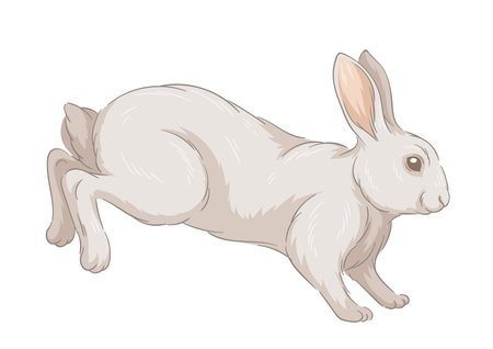 Cute fur rabbit vector conceptのイラスト素材