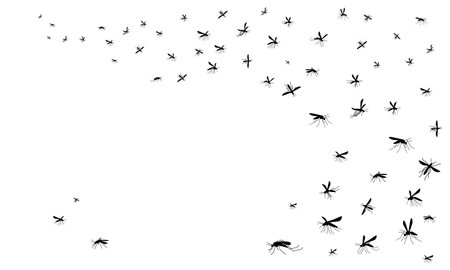 Vector Banner with Flying mosquitoes black silhouetteのイラスト素材