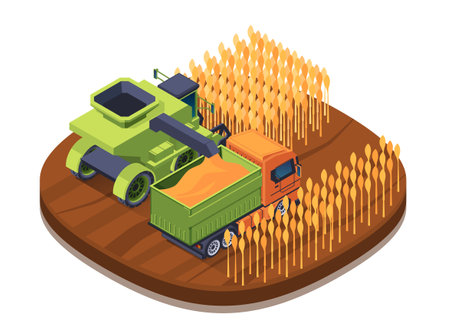Isometric illustration of a combine harvester and truck in a wheat field, on a plain background, depicting agriculture. vector illustrationのイラスト素材