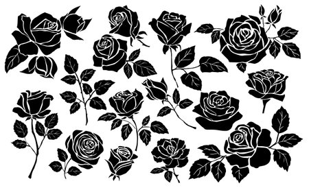 Set of silhouettes of decorative rose. Black and white icons of beautiful blooming flowers. Hand drawn garden plants. Design for tattoo or logo. Flat vector illustration collectionのイラスト素材
