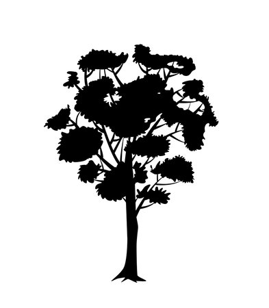 Black Silhouette of tree. Plant with branches with leaves. Nature and environment. Garden, forest and landscape. Sketch of wood. Flat vector illustrationのイラスト素材