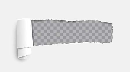 Torn paper effect. Hole in page. Handmade blank cardboard paper. Poster with torn hole and rolled edge. Texture and background. Realistic vector illustrationのイラスト素材