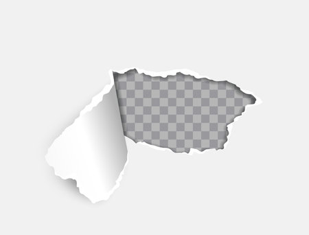 Torn paper effect. Handmade blank cardboard paper with torn hole. Outdoor advertising. Crumpled and broken canvas. Place for text. Realistic vector illustrationのイラスト素材