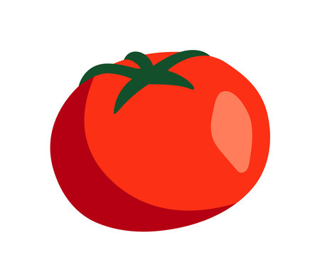 Tomato illustration on white. Vector illustrationのイラスト素材