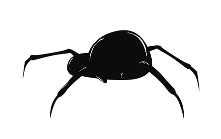 Black spider silhouette on white background. Vector illustrationのイラスト素材