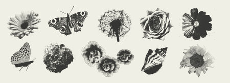 Vintage floral and butterfly ink set. Vector illustrationのイラスト素材