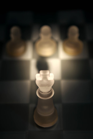 king and pawnsの写真素材