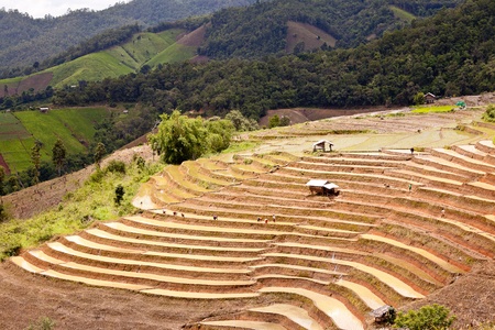 Southeast Asian rice field terraces in Thailand の写真素材