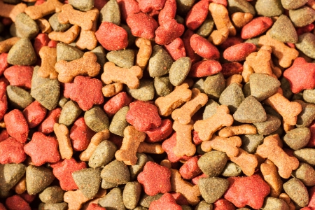 dog food の写真素材