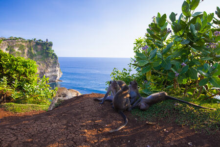 view of a cliff in Bali Indonesiaの写真素材