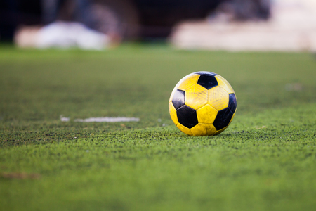 soccer ball on green grass の写真素材