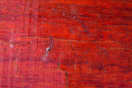 Wood texture の写真素材