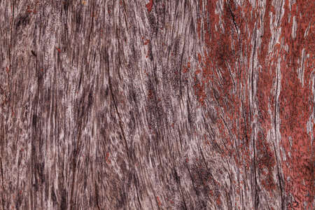 Wood texture.の写真素材