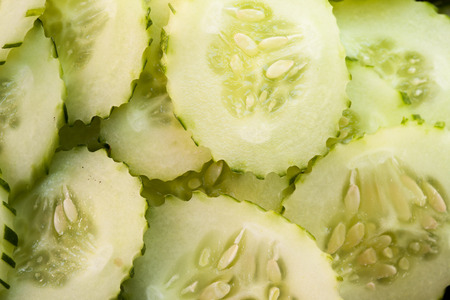 Cucumber  background の写真素材