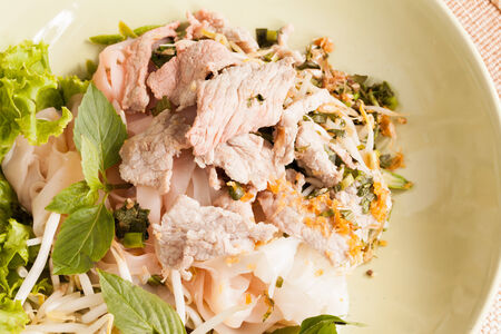 A dish of noodles and pork.