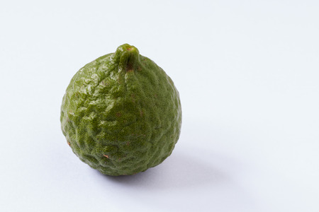 Kaffir Lime or bergamot.の写真素材